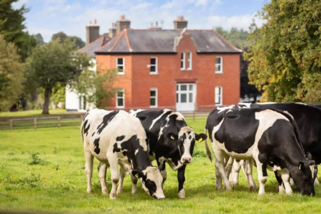 Photo of Griffinstown House, Griffinstown Upper, Dunlavin, Co. Wicklow, W91 T2Y2