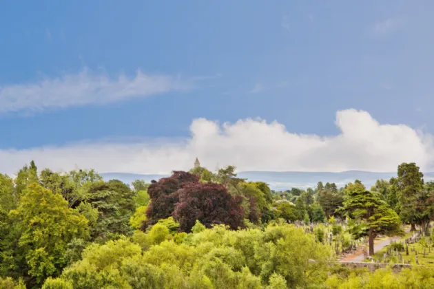 Photo of 60 Botanic Hall, Addison Park, Glasnevin, Dublin 11, D11 HCP2