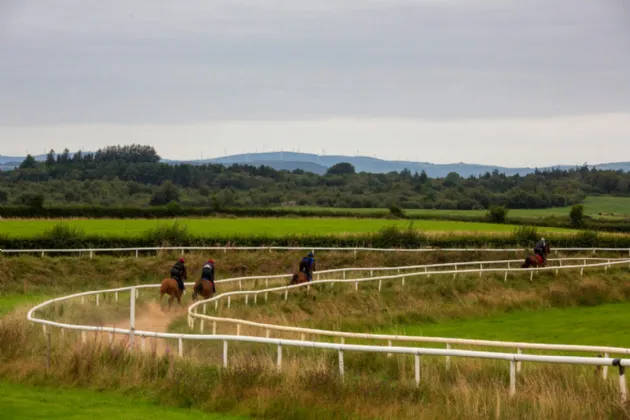 Photo of Killeens, Ballynonty, Thurles, Co. Tipperary, E41 X0T2