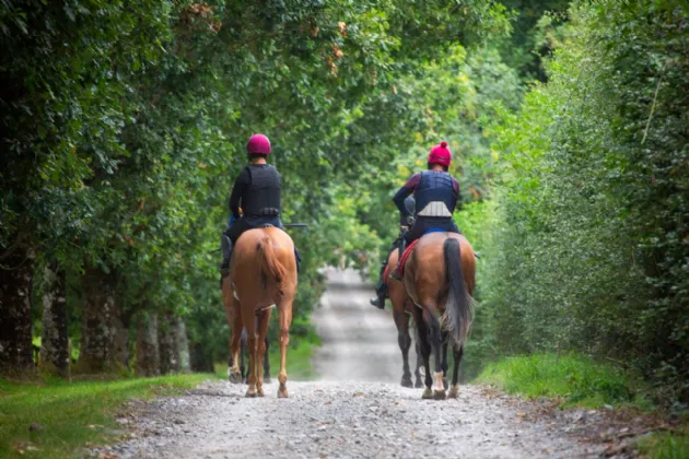 Photo of Killeens, Ballynonty, Thurles, Co. Tipperary, E41 X0T2