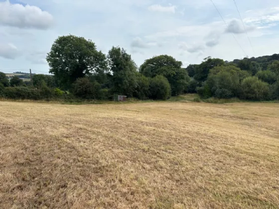 Photo of Land at Annagh Middle, Gorey, County Wexford