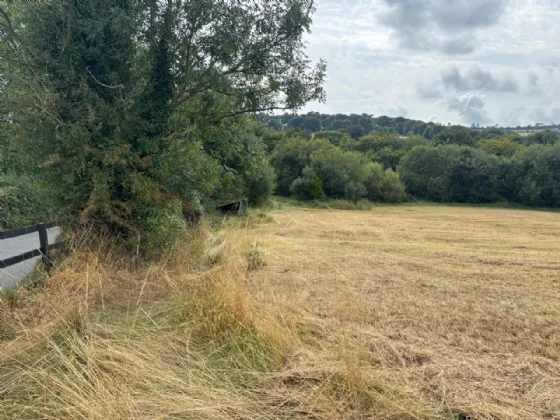 Photo of Land at Annagh Middle, Gorey, County Wexford