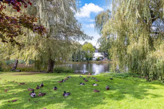 Photo of 15 Lakeside Walk, Monaghan Town, H18DV22