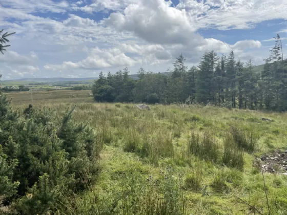 Photo of Site SPP, Glynsk, Liscarney, Westport, Co. Mayo