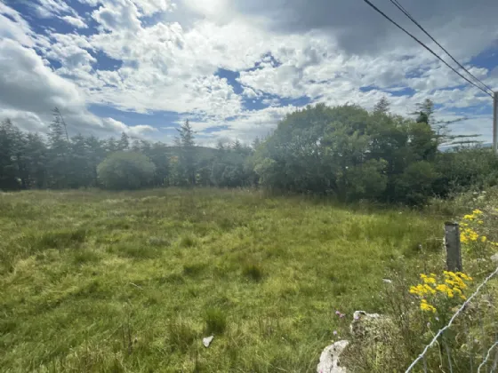 Photo of Site SPP, Glynsk, Liscarney, Westport, Co. Mayo