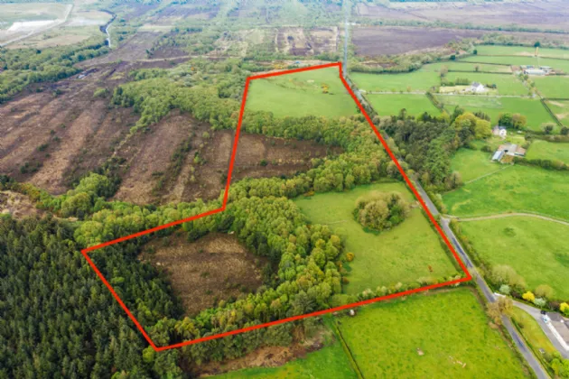 Photo of Derrymahon, Timahoe East, Coill Dubh, Co Kildare