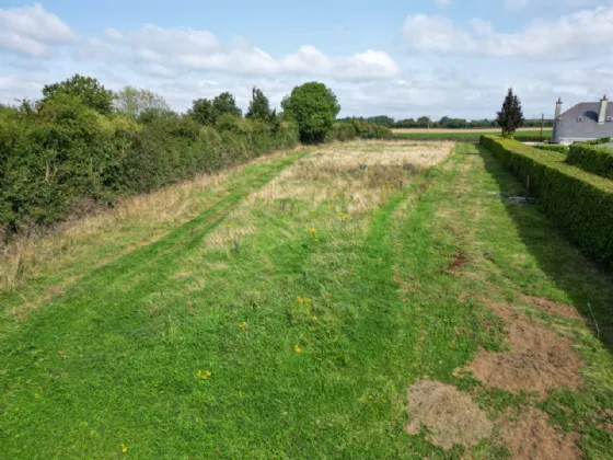 Photo of 6-Bed Residence On 2.35 Acres, Rahealty, Thurles, Co. Tipperary, E41 V3K4