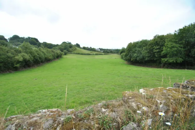 Photo of Approx. 5.93 Acres/2.39 Hectares, Corville, Roscrea, Co Tipperary