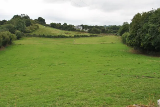 Photo of Approx. 5.93 Acres/2.39 Hectares, Corville, Roscrea, Co Tipperary