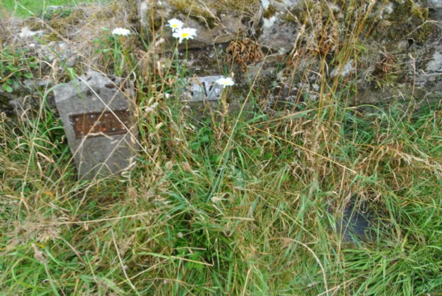 Photo of Approx. 5.93 Acres/2.39 Hectares, Corville, Roscrea, Co Tipperary