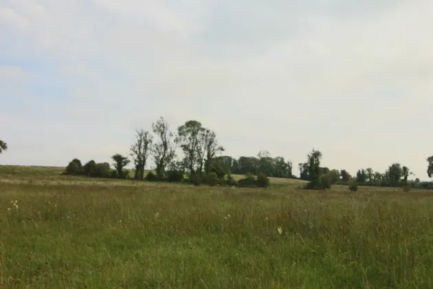 Photo of Lissadorn, Elphin, Co. Roscommon