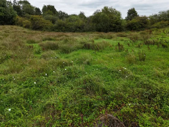 Photo of Shanaghmoyle, Knock, Co Mayo