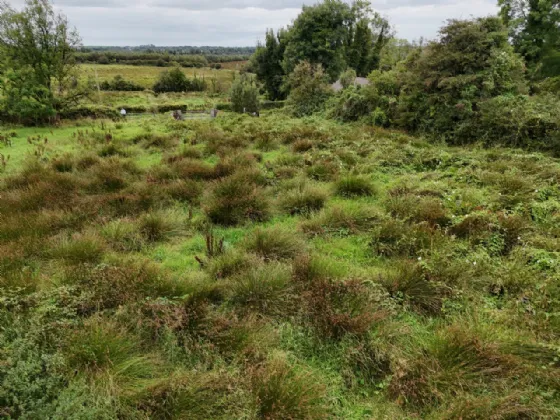 Photo of Shanaghmoyle, Knock, Co Mayo