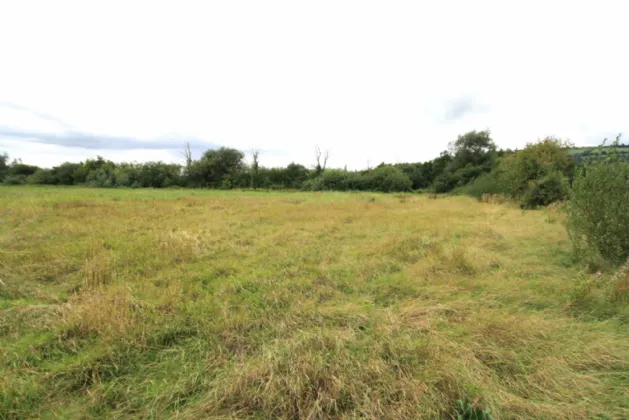 Photo of 14.28 Acres Agri Lands At, Cloghna Lane, Milford, Carlow