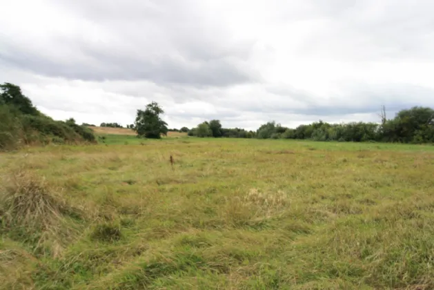 Photo of 14.28 Acres Agri Lands At, Cloghna Lane, Milford, Carlow