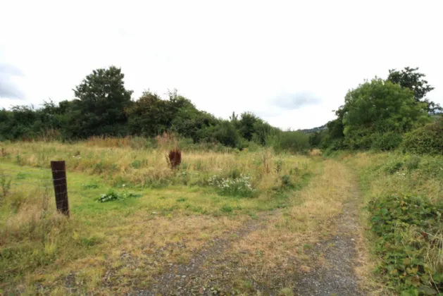Photo of 14.28 Acres Agri Lands At, Cloghna Lane, Milford, Carlow