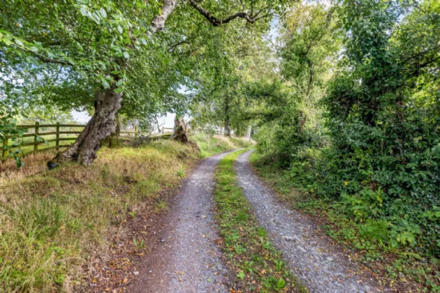 Photo of Derryvally House, Ballybay, Co. Monaghan, A75 WN72