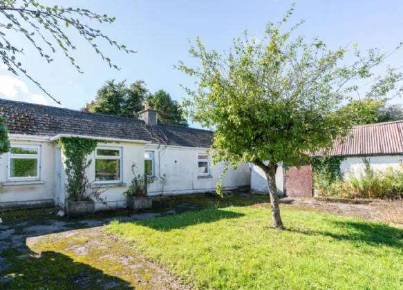 Photo of Barrowhouse,, Shanganagh Beg,, Co. Laois,, R14 AW77