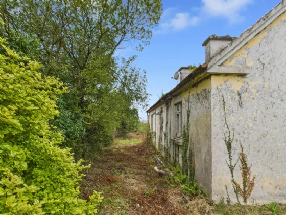 Photo of Woodpark, Portumna, Co. Galway, H53 HH60