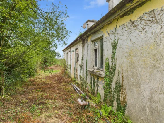 Photo of Woodpark, Portumna, Co. Galway, H53 HH60