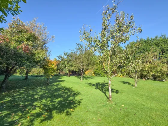 Photo of 6-Bed On 3 Acres, Togher Road, Fennor, Urlingford Via Thurles, Co. Tipperary, E41 F8C7