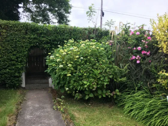 Photo of Laviana, Oulart, Ballyfad, Co. Wexford, Y25 DD78