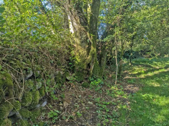 Photo of Keelnacronagh East, Enniskeane, Co Cork, P47D277