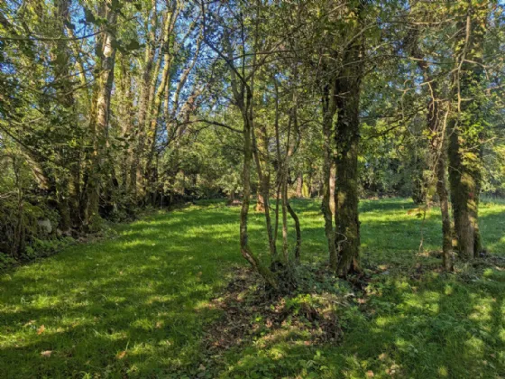 Photo of Keelnacronagh East, Enniskeane, Co Cork, P47D277