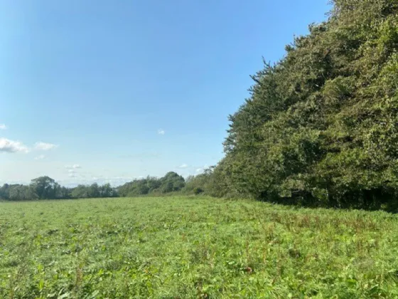 Photo of Ballagh Cross, Donadea, Co Kildare