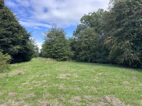 Photo of Monagee, Camus, Cashel, Tipperary, E25F437