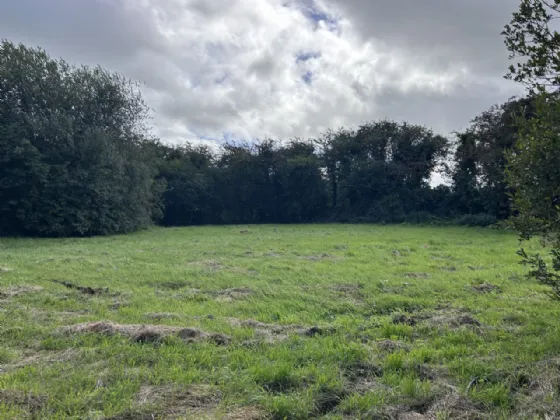 Photo of Monagee, Camus, Cashel, Tipperary, E25F437