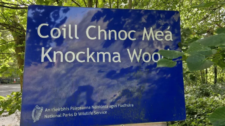 Photo of 0.75 Acre Site In Knockma, Caltragh, Belclare, Tuam, Co. Galway