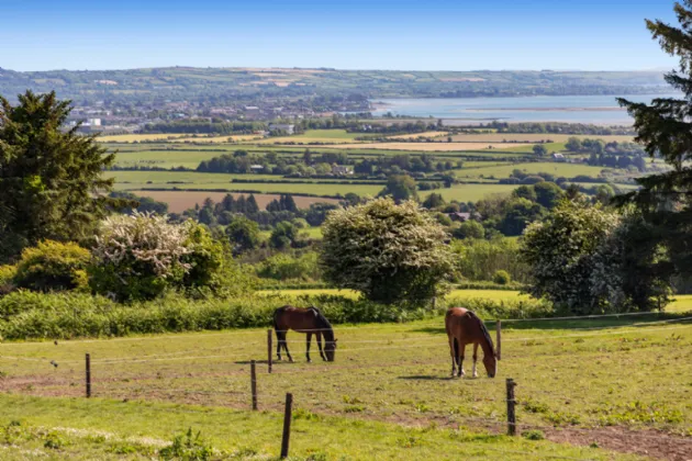 Photo of Hillside (On 5.4 Acres.), Glenbeg, Dungarvan, Co Waterford, X35 D732