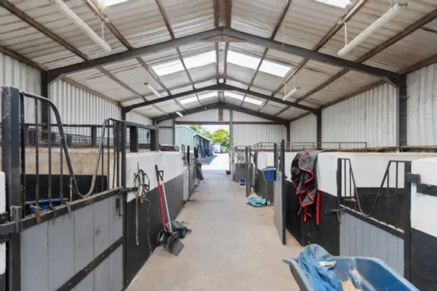 Photo of Hillside (On 5.4 Acres.), Glenbeg, Dungarvan, Co Waterford, X35 D732