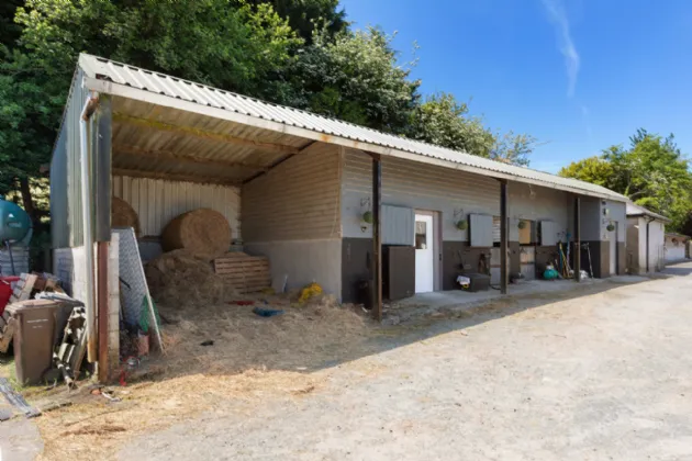 Photo of Hillside (On 5.4 Acres.), Glenbeg, Dungarvan, Co Waterford, X35 D732