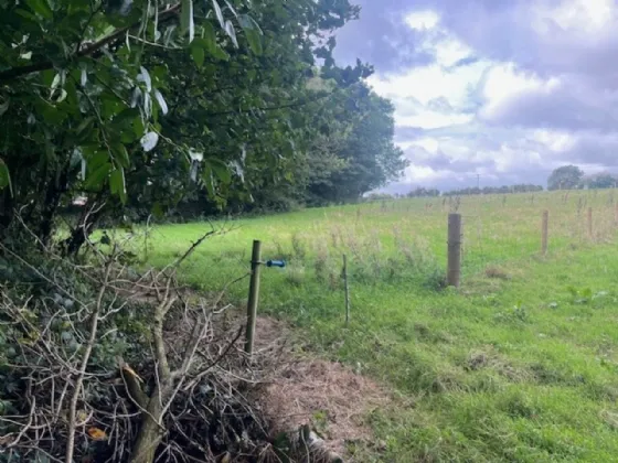 Photo of Camross (Site), Foulksmills, Co Wexford