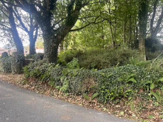 Photo of Camross (Site), Foulksmills, Co Wexford