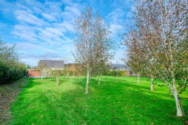 Photo of Forest View, Ballymacwilliam, Carrickglass, Co. Longford, N39P267