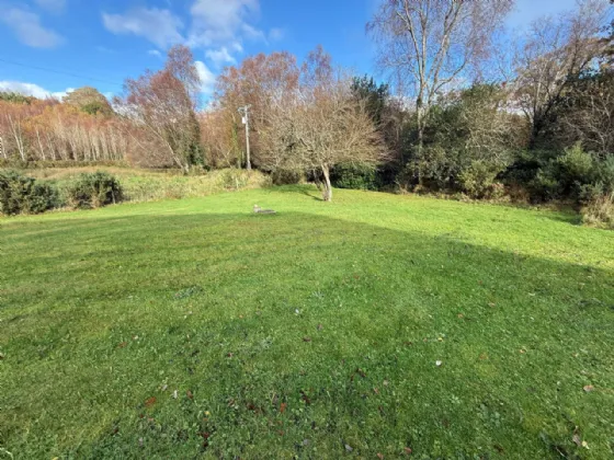 Photo of Gortahoonig, Muckross, Killarney, Co Kerry, V93 F21V