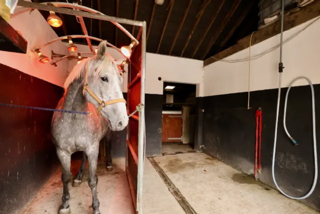 Photo of Creaghduff Stables, Coosan, Athlone, Co Westmeath, N37 K3E3