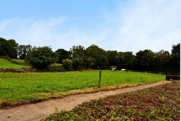 Photo of Creaghduff Stables, Coosan, Athlone, Co Westmeath, N37 K3E3