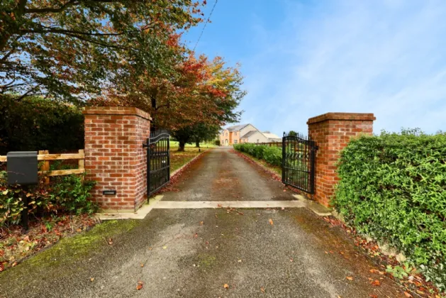 Photo of The Pigeons, Athlone, Co. Westmeath, N37 A627
