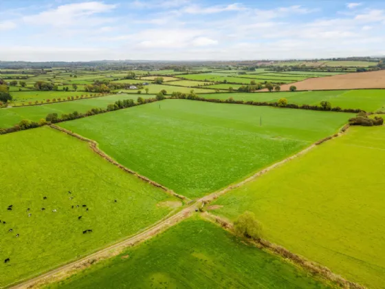 Photo of Lot 1 - Carrigeen Farm, Approx. 109.4 Ha (270.4 Acres), Cashel, County Tipperary, E25 F886