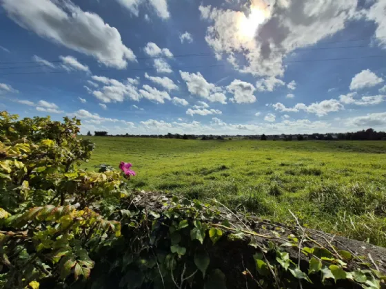 Photo of Sun Street, Tuam, Co. Galway, H54 AT21
