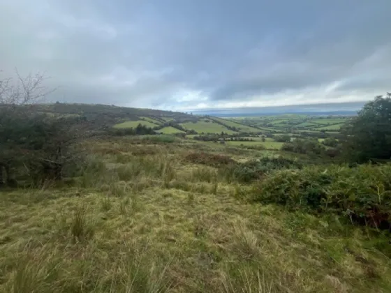 Photo of Bollingbrook, Dolla, Nenagh, Co. Tipperary