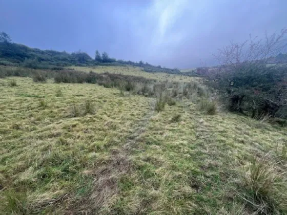 Photo of Bollingbrook, Dolla, Nenagh, Co. Tipperary