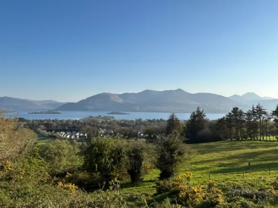 Photo of 'Lake Island View House', Parkavonear, Aghadoe, Killarney, Co. Kerry, V93 W6T2