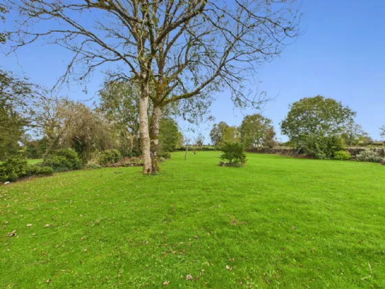 Photo of Knockadaumore, Loughrea, Co. Galway, H62 XY45