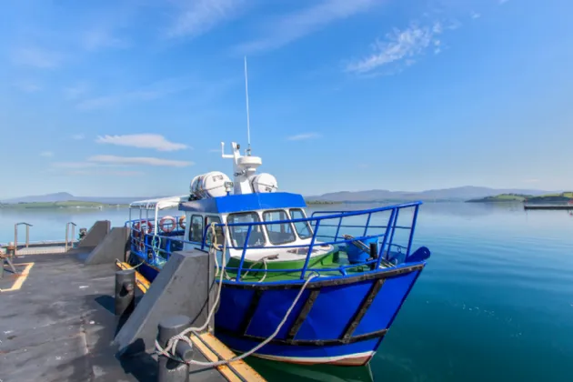 Photo of Whiddy Island, Bantry, Co. Cork, P75EF25