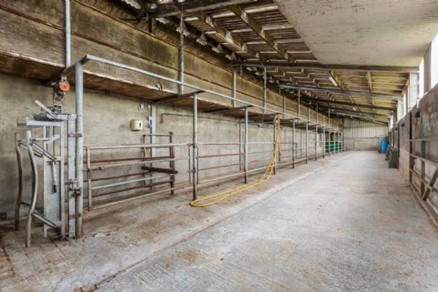 Photo of Lot 2 - Rockwell & Dogstown Farm, Approx. 219.8 Ha (543.1 Acres), Cashel, County Tipperary, E25 F886